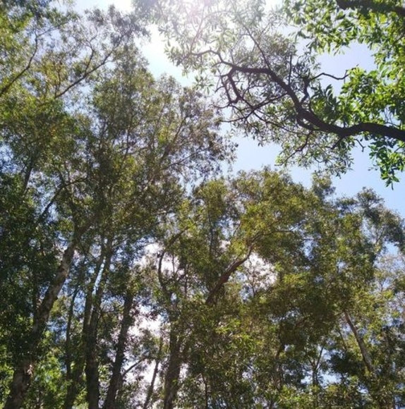 Meet your Posher, Daniel - Picture 1 of 1